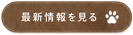 最新情報を見る