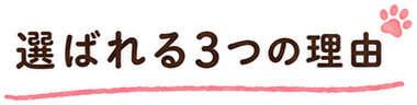選ばれる3つの理由
